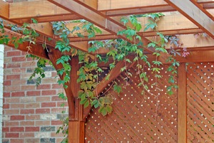 Top 5 Reasons to Install a Pergola